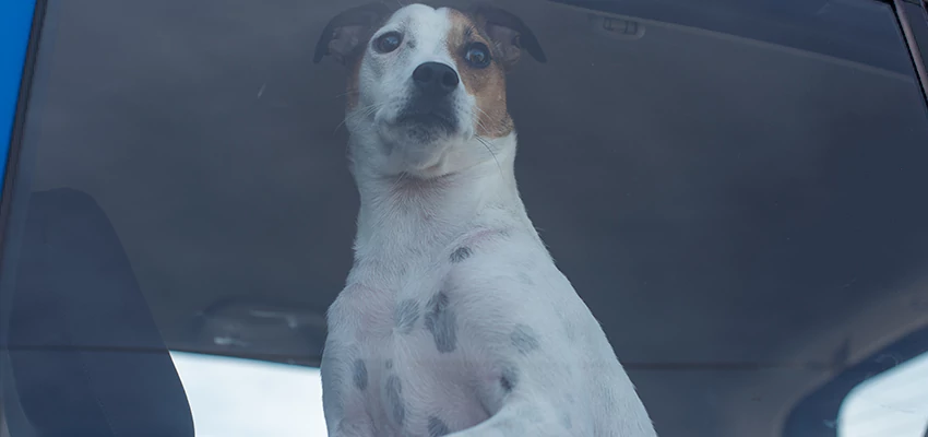 Car Lockout Solutions in Redwood City, California